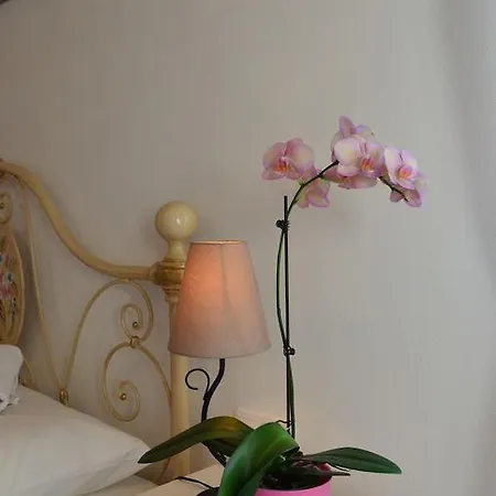 Claudia Konukevi Fažana