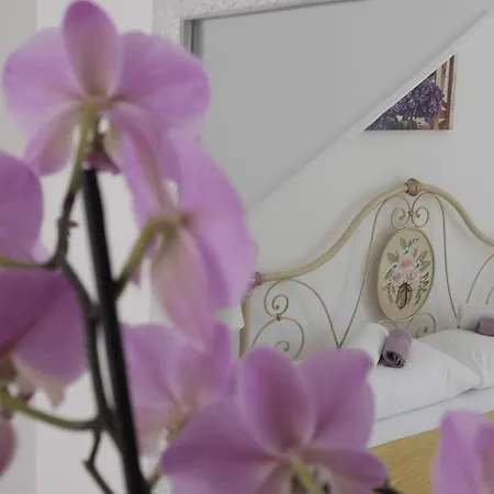 Gostinjska kuća Claudia